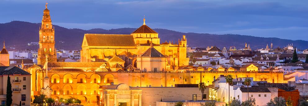 Les composantes du CLEA